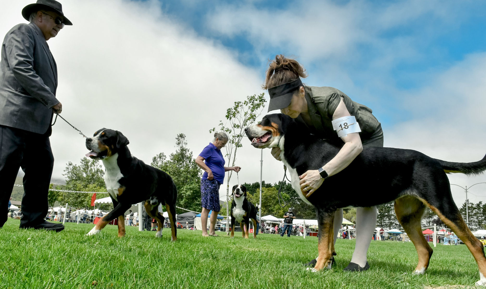 073121 Dog show 07.JPG